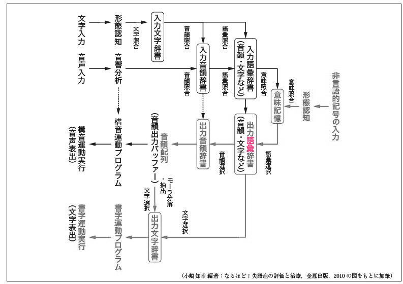 言語聴覚士国家試験必修ポイント ST専門科目 2024 オンライン