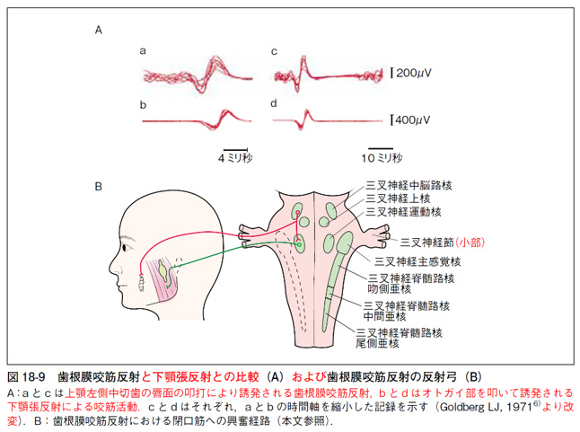 基礎歯科生理学 第7版 正誤表／補足情報／医歯薬出版株式会社