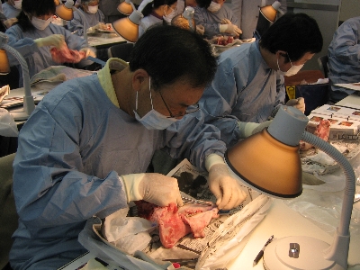 TDC2008a.jpg