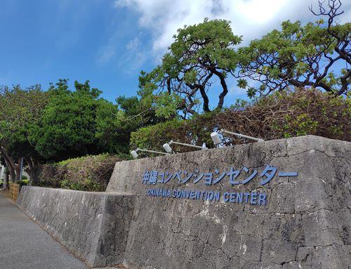 第64回 日本小児歯科学会大会開催される