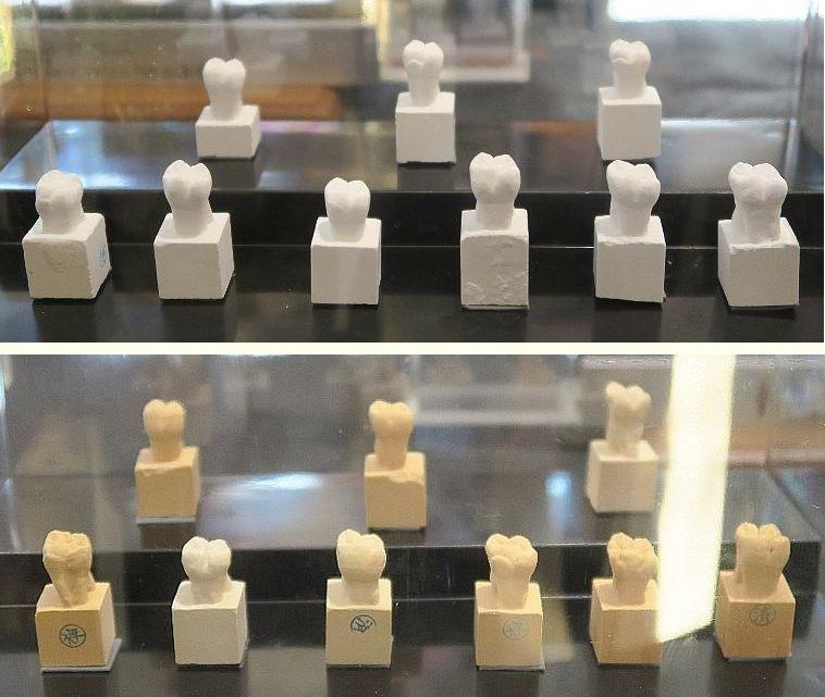 歯科界ニュース－歯型彫刻コンテスト『ほるほる』第18回／日本歯科技工  