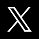 x-icon