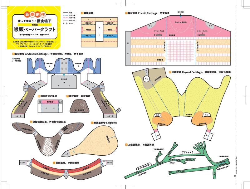 付録「喉頭ペーパークラフト」イメージ