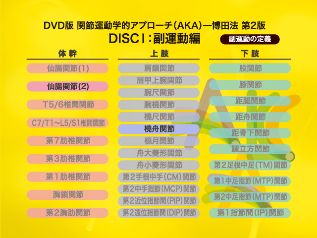 製品サンプル：DVD版 関節運動学的アプローチ（AKA）－博田法 第2版