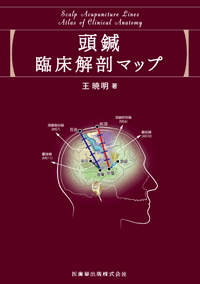 頭鍼臨床解剖マップ