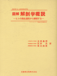 大人の上質  図解 ヒトの発生過程から解明する/医歯薬出版株式会社 解剖学概説 医学一般