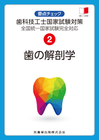 歯の解剖学