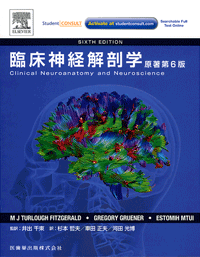 臨床神経解剖学 原著第6版/医歯薬出版株式会社