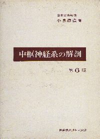 中枢神経系の解剖 第6版/医歯薬出版株式会社