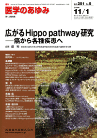 広がるHippo pathway研究