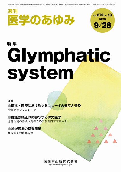 Glymphatic system