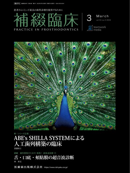 ABE&#39;s SHILLA SYSTEMɂlH\z̗Տ