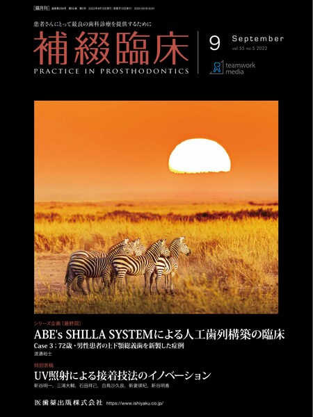 ABE&#39;s SHILLA SYSTEMɂlH\z̗Տ