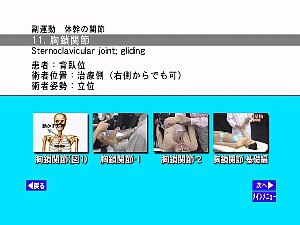 t11.jpg