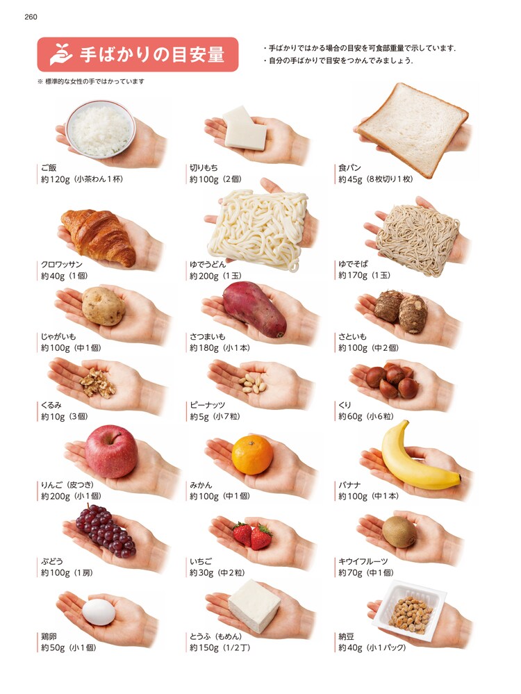 日本食品成分表2024 八訂 栄養計算ソフト・電子版付／医歯薬出版株式会社
